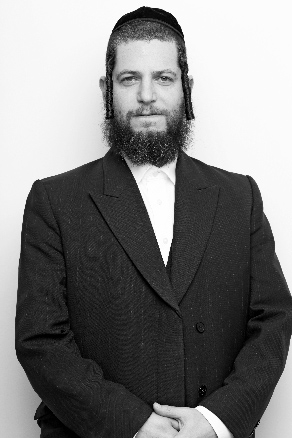 יוחנן רובינשטיין, רכז פרויקטים